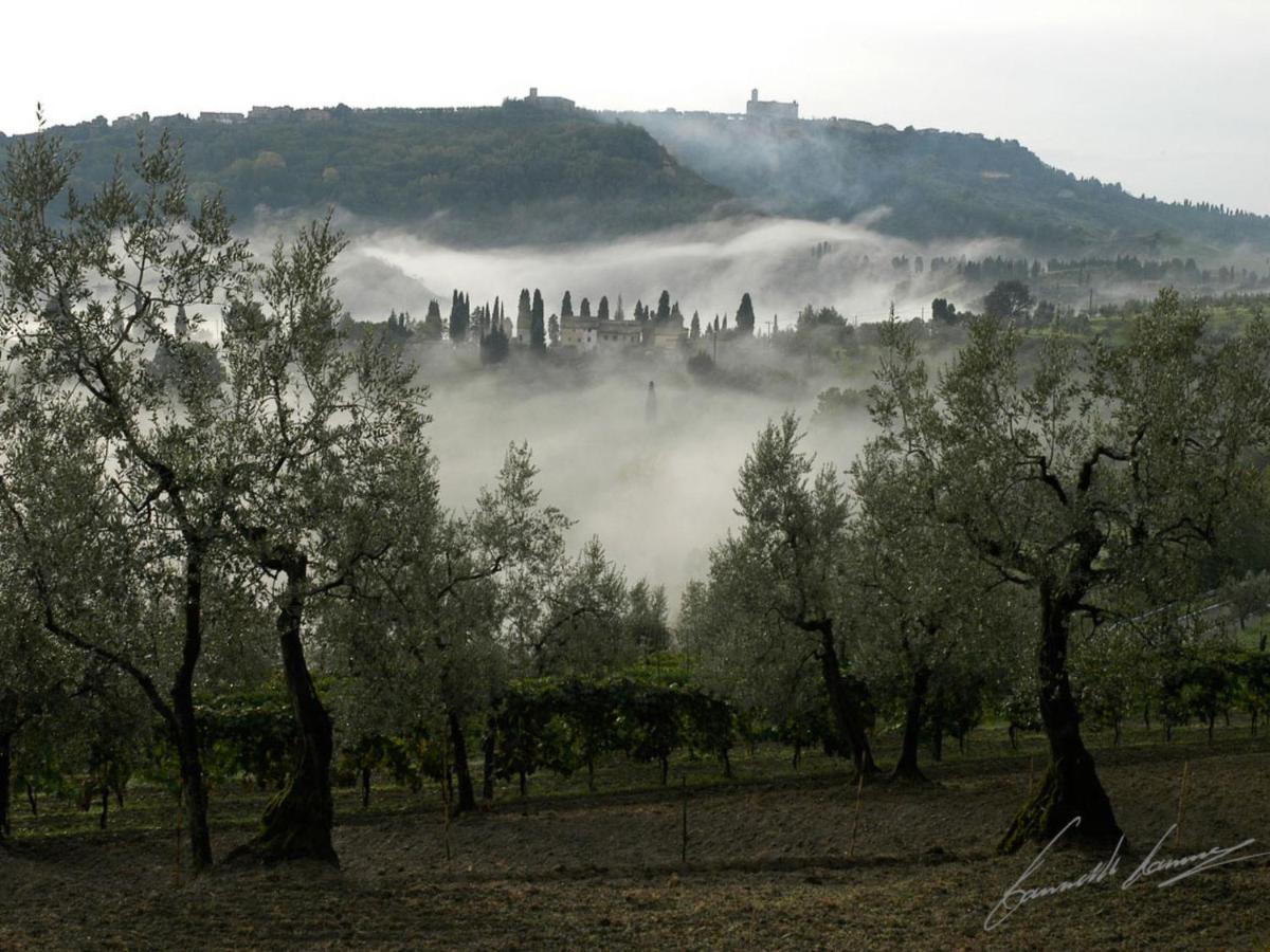 Holiday Home Podere Santa Lucia By Interhome Volterra Bagian luar foto